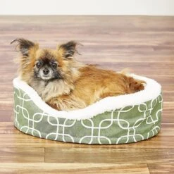 MidWest QuietTime Defender Orthopedic Bolster Cat & Dog Bed With Removable Cover