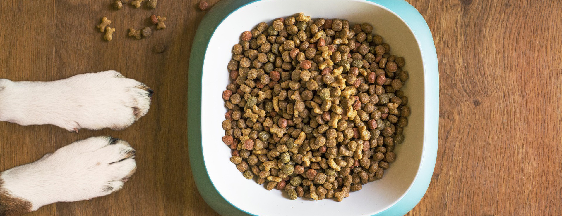 Dog Supplies 1 Dog Supplies -Dog Supplies dog food 5168940 1920